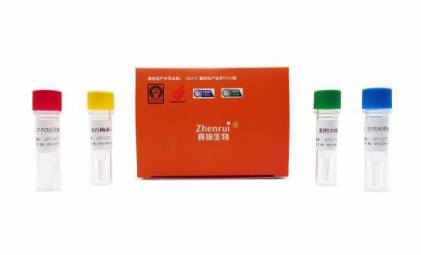 禽流感病毒H5N2亞型檢測試劑盒（雙色實時熒光PCR法）